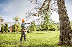 Best Lawn Maintenance Plans  in Lilburn, GA