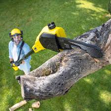 Best Commercial Tree Services  in Lilburn, GA